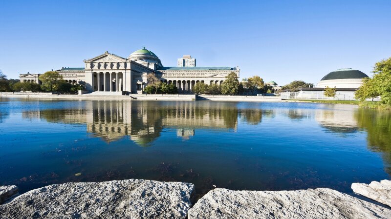 Discover, learn, explore: International Museum Day in Chicagoland Photo